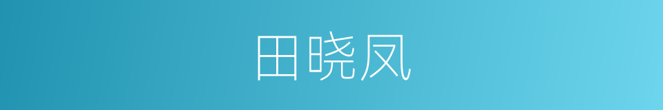 田晓凤的同义词