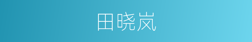 田晓岚的同义词