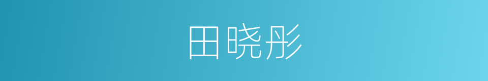 田晓彤的同义词