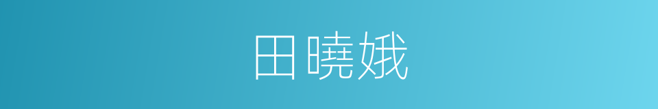 田曉娥的同義詞