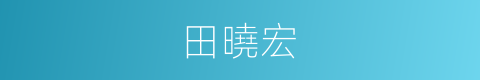 田曉宏的同義詞