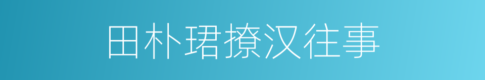 田朴珺撩汉往事的同义词