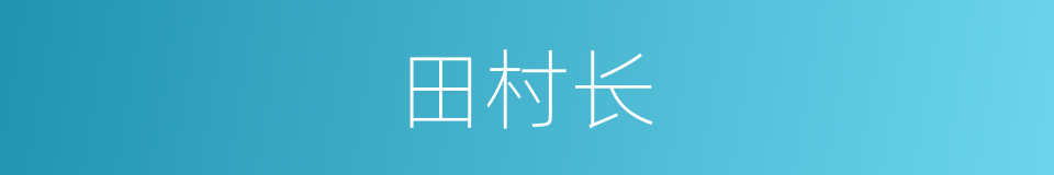 田村长的同义词