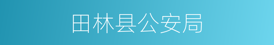 田林县公安局的同义词