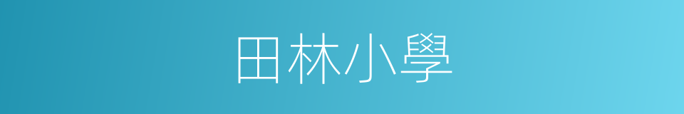 田林小學的同義詞