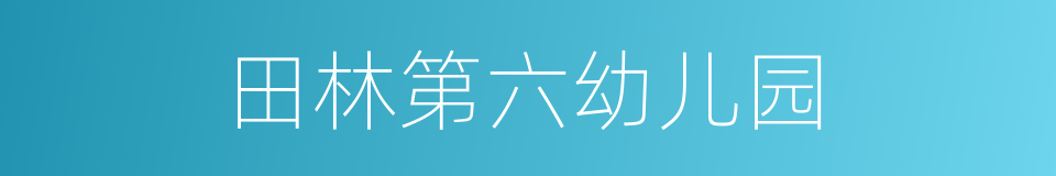 田林第六幼儿园的同义词