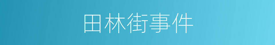 田林街事件的同义词