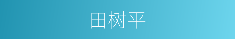 田树平的同义词