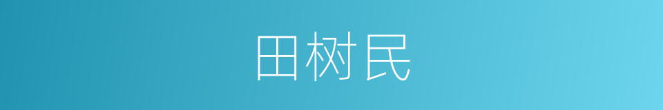 田树民的同义词