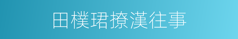 田樸珺撩漢往事的同義詞