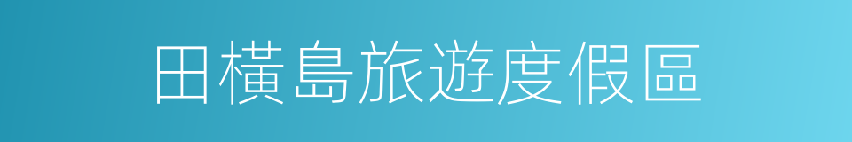 田橫島旅遊度假區的同義詞