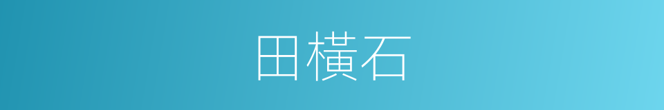 田橫石的意思