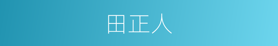 田正人的同义词