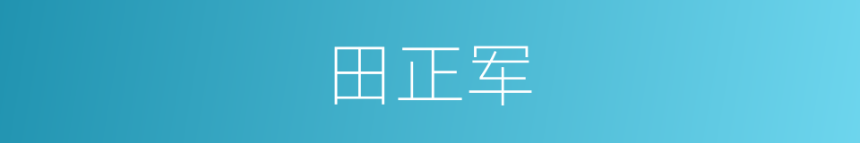 田正军的同义词