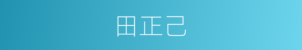 田正己的同义词