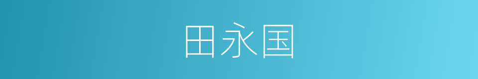 田永国的同义词