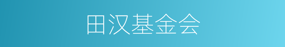 田汉基金会的同义词