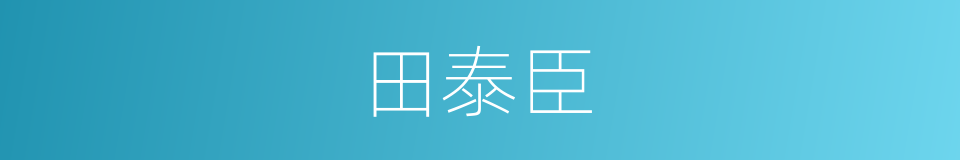 田泰臣的同义词