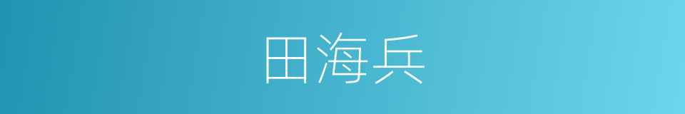 田海兵的同义词