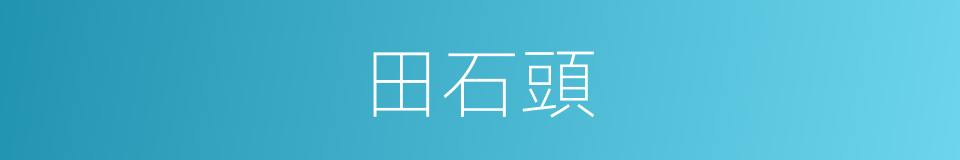 田石頭的意思