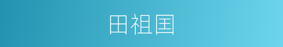 田祖囯的同义词