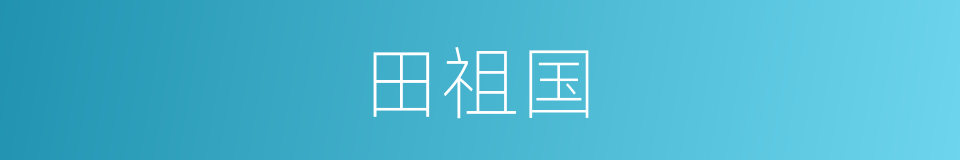 田祖国的同义词