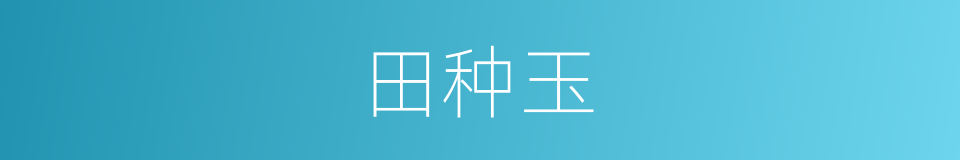 田种玉的同义词
