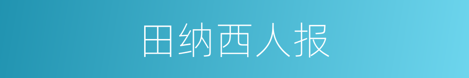 田纳西人报的同义词