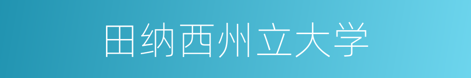 田纳西州立大学的同义词