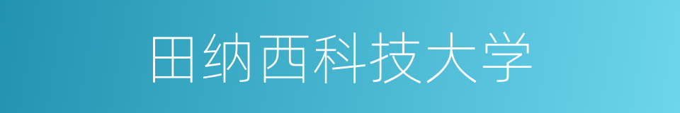 田纳西科技大学的同义词