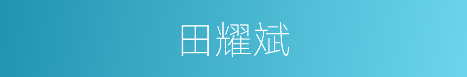 田耀斌的同义词