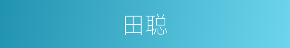 田聪的同义词