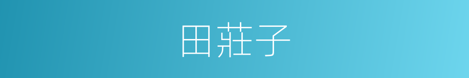 田莊子的同義詞