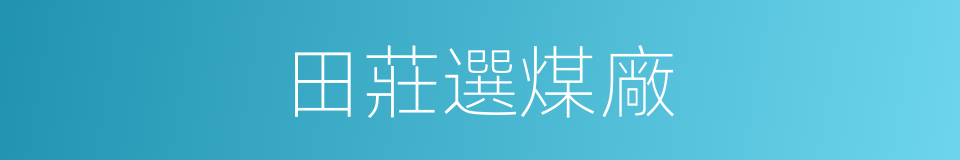 田莊選煤廠的同義詞