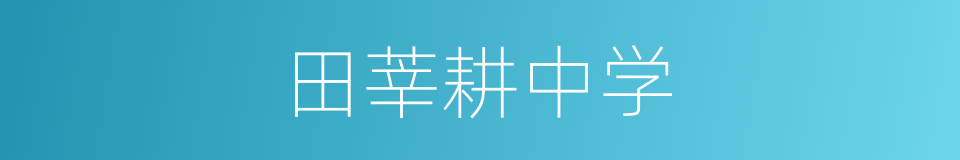 田莘耕中学的同义词