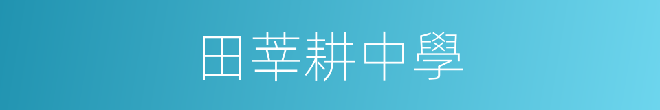田莘耕中學的同義詞