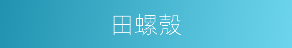 田螺殼的意思