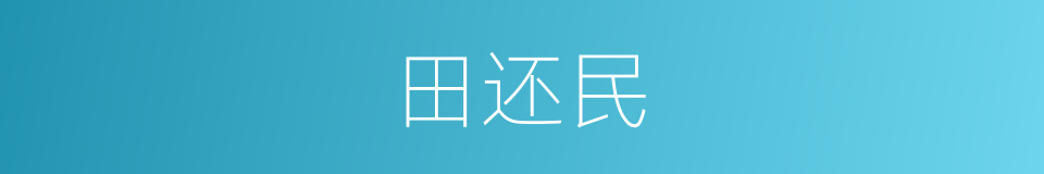 田还民的同义词