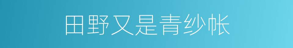 田野又是青纱帐的同义词