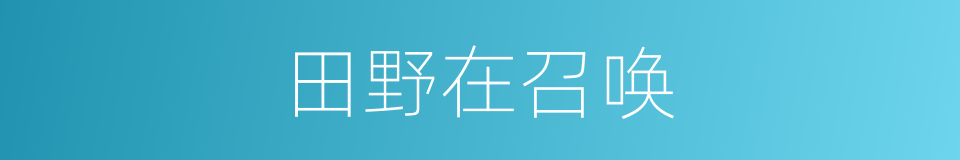 田野在召唤的同义词