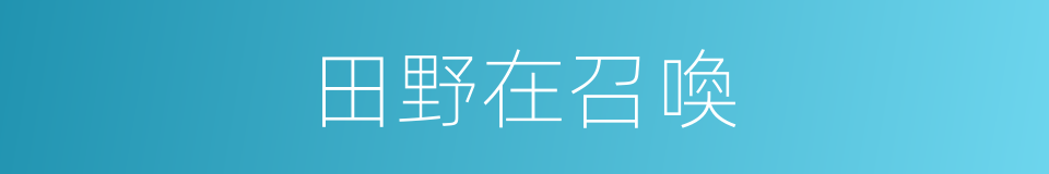 田野在召喚的同義詞