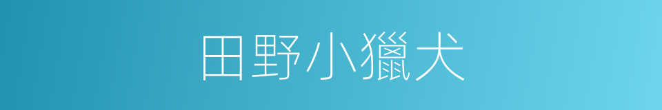 田野小獵犬的同義詞