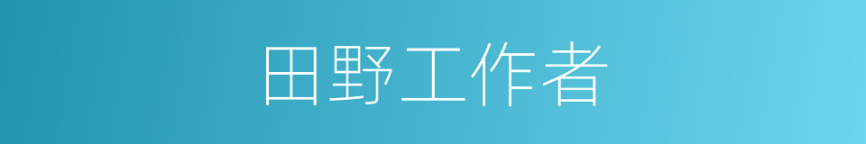 田野工作者的同义词