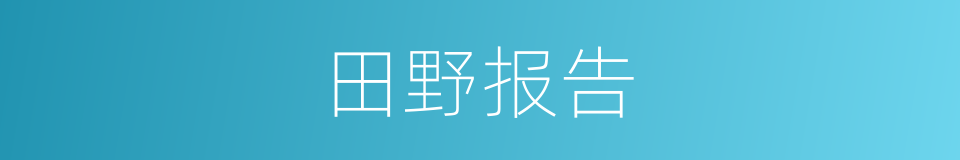 田野报告的同义词