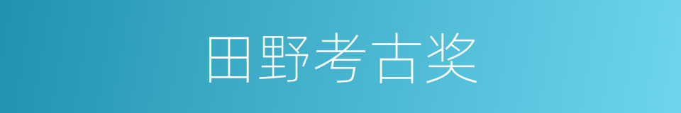 田野考古奖的同义词