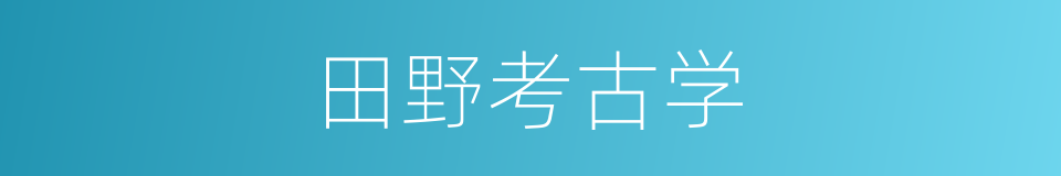 田野考古学的同义词