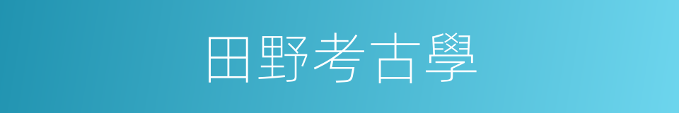 田野考古學的同義詞