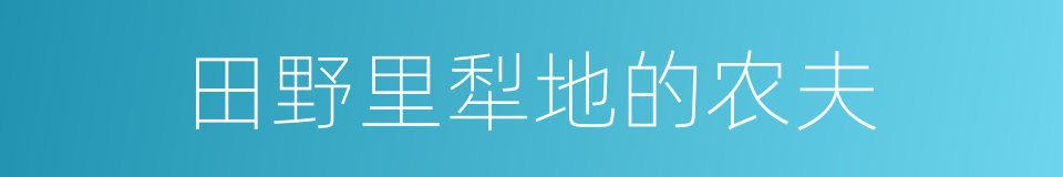 田野里犁地的农夫的同义词