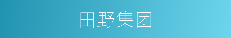 田野集团的同义词