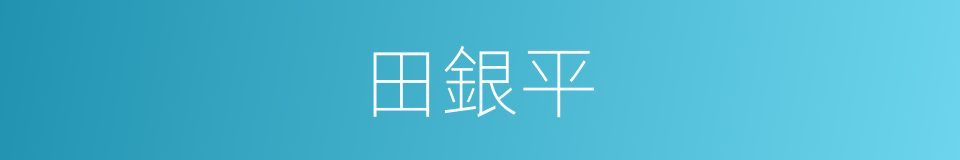 田銀平的同義詞